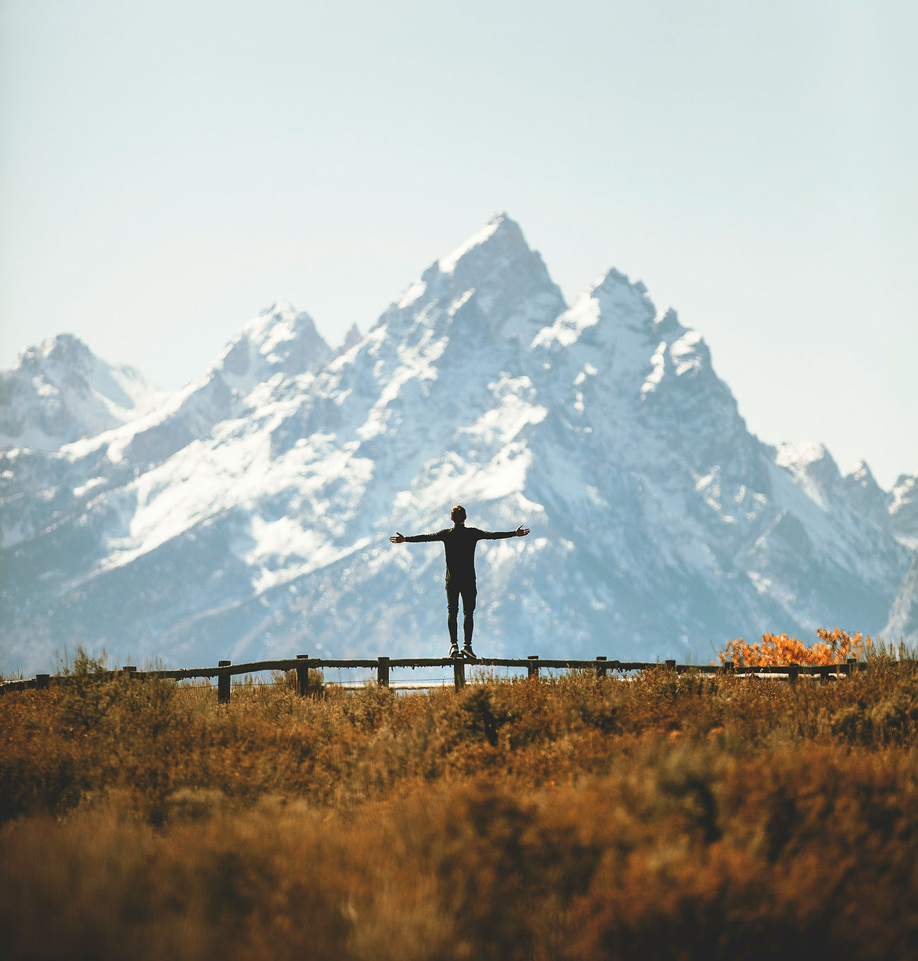 joshua-earle-oz1GKlRWab4-unsplash.jpg